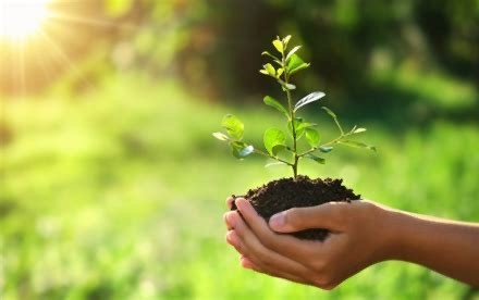 Atelier Cosmetiques par les plantes