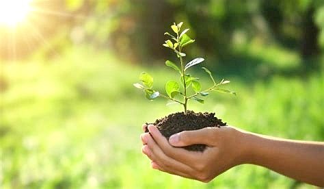 Atelier Cosmetiques par les plantes